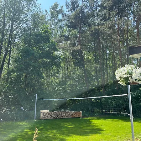 Wakacyjny Wczasy Marzenie *