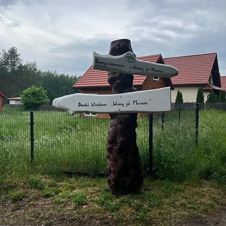 Wakacyjny Wczasy Marzenie *