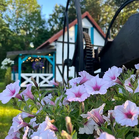 Wakacyjny Wczasy Marzenie Дом отдыха *