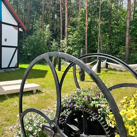 Wakacyjny Wczasy Marzenie Дом отдыха *