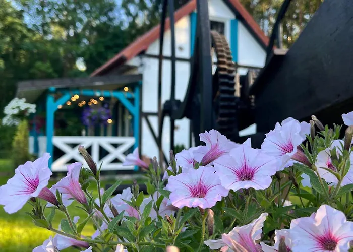 Wakacyjny Wczasy Marzenie בית נופש *